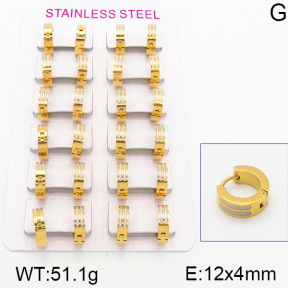 Stainless Steel Earrings  5E3000329alka-387