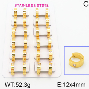Stainless Steel Earrings  5E4000812akoa-387