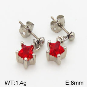 Stainless Steel Earrings  5E4000813baka-628