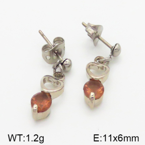 Stainless Steel Earrings  5E4000817baka-628