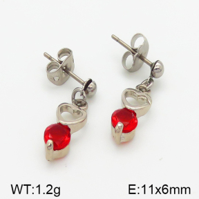 Stainless Steel Earrings  5E4000818baka-628