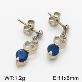 Stainless Steel Earrings  5E4000819baka-628