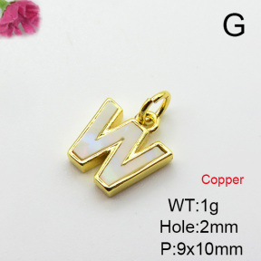 Shell  Fashion Copper Pendant  XFPC03551vail-G030