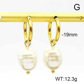 Shell Beads  Stainless Steel Earrings  7E3000061bhva-908