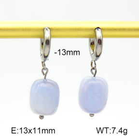 Purple Agate  Stainless Steel Earrings  7E4000139vhkb-908