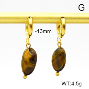 Tiger Eye  Stainless Steel Earrings  7E4000140vbpb-908