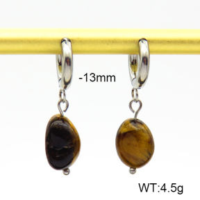 Tiger Eye  Stainless Steel Earrings  7E4000141bbov-908