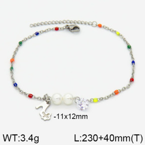 Stainless Steel Anklets  2A9000268ablb-610