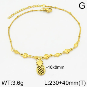 Stainless Steel Anklets  2A9000272ablb-610
