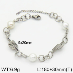 Stainless Steel Bracelet  2B3000420bvpl-610