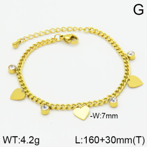 Stainless Steel Bracelet  2B4000702vhha-669