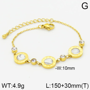 Stainless Steel Bracelet  2B4000704vbpb-669