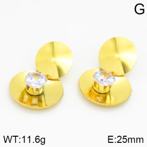 Stainless Steel Earrings  2E4000788ablb-363