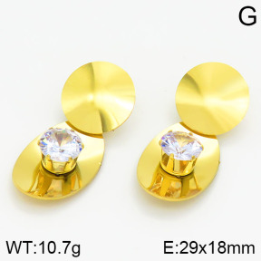 Stainless Steel Earrings  2E4000790ablb-363