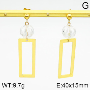 Stainless Steel Earrings  2E4000797vbll-363