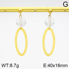 Stainless Steel Earrings  2E4000801vbll-363