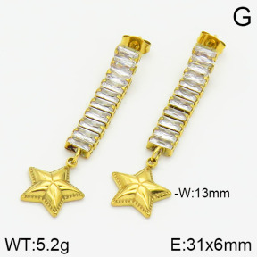 Stainless Steel Earrings  2E4000808bhva-669