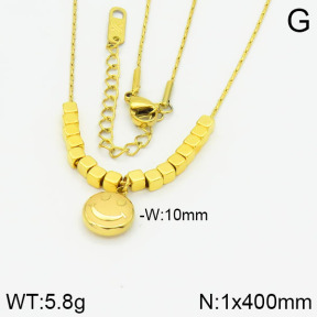 Stainless Steel Necklace  2N2000627vhha-669