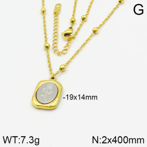 Stainless Steel Necklace  2N2000630bbov-669
