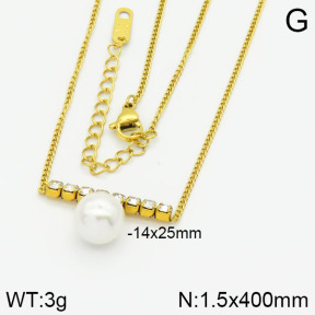 Stainless Steel Necklace  2N3000318abol-669