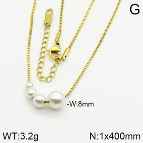Stainless Steel Necklace  2N3000321vbpb-669