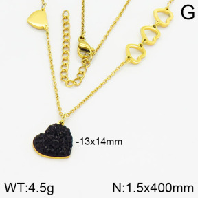 Stainless Steel Necklace  2N4000294ahjb-363