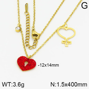 Stainless Steel Necklace  2N4000300bhia-363