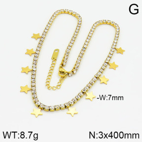 Stainless Steel Necklace  2N4000332bhia-669