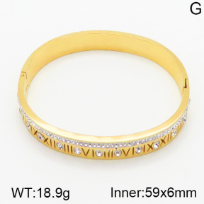 Stainless Steel Bangle  5BA400502vhmv-669