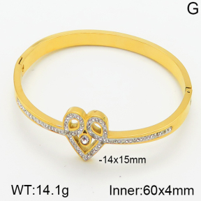 Stainless Steel Bangle  5BA400511vhnv-617