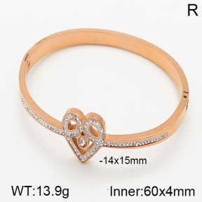 Stainless Steel Bangle  5BA400512vhnv-617