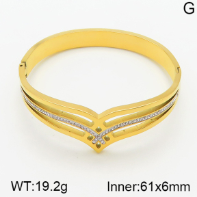 Stainless Steel Bangle  5BA400514vhnv-617