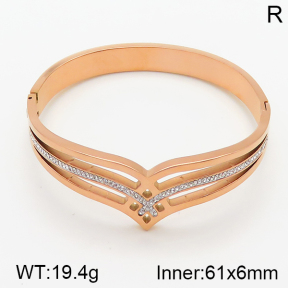 Stainless Steel Bangle  5BA400515vhnv-617