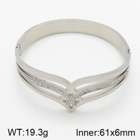 Stainless Steel Bangle  5BA400516ahlv-617