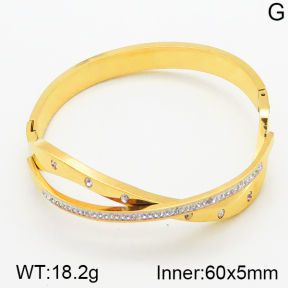 Stainless Steel Bangle  5BA400522vhnv-617