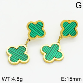 Stainless Steel Earrings  2E4000812aakl-614