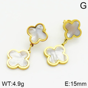 Stainless Steel Earrings  2E4000813aakl-614