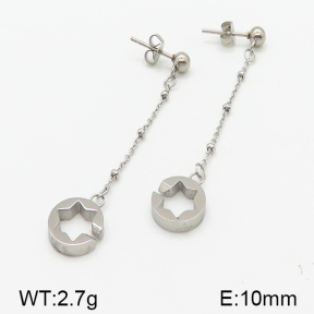 Stainless Steel Earrings  5E2001030ablb-314