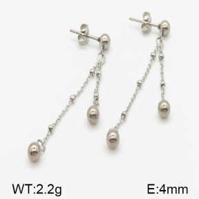 Stainless Steel Earrings  5E2001032ablb-314