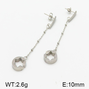 Stainless Steel Earrings  5E2001034ablb-314