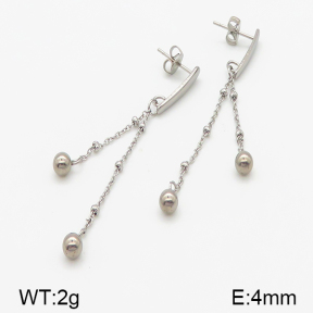 Stainless Steel Earrings  5E2001038ablb-314