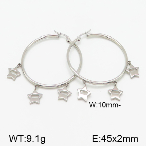 Stainless Steel Earrings  5E2001040vbmb-314