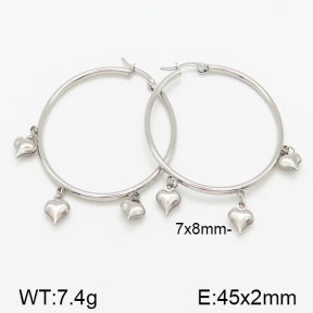 Stainless Steel Earrings  5E2001041vbmb-314