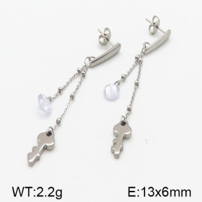 Stainless Steel Earrings  5E4000820vbll-314