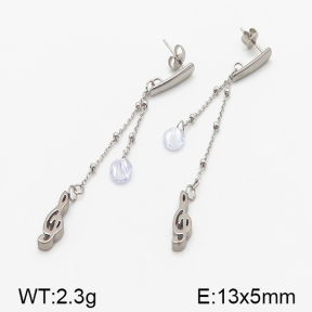Stainless Steel Earrings  5E4000821vbll-314