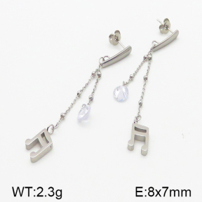 Stainless Steel Earrings  5E4000823vbll-314