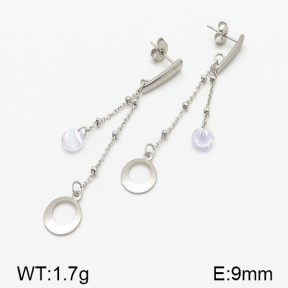 Stainless Steel Earrings  5E4000824vbll-314
