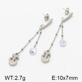 Stainless Steel Earrings  5E4000825vbll-314