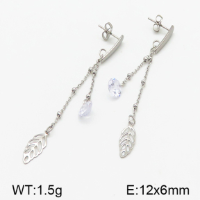 Stainless Steel Earrings  5E4000827vbll-314