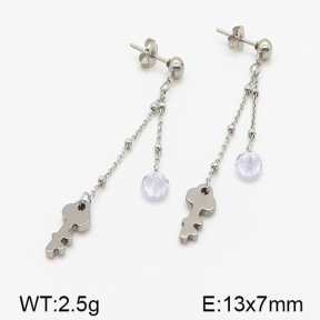 Stainless Steel Earrings  5E4000828vbll-314